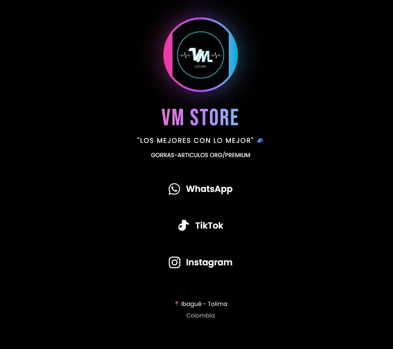 Captura del proyecto E-commerce VM Store